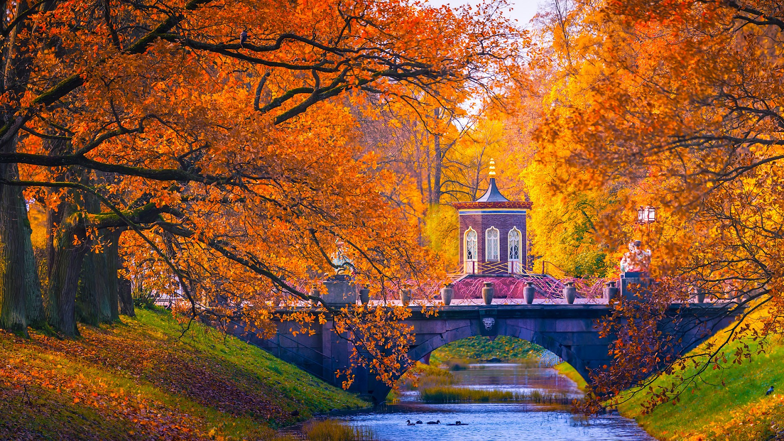 Saint Petersburg Mùa Thu – Giai Điệu Trầm Lặng Giữa Nước Nga Huyền Ảo | Hanoitourist - Thương hiệu du lịch uy tín từ 1963