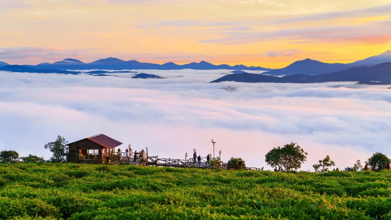 Du lịch Đà Lạt vào mùa xuân