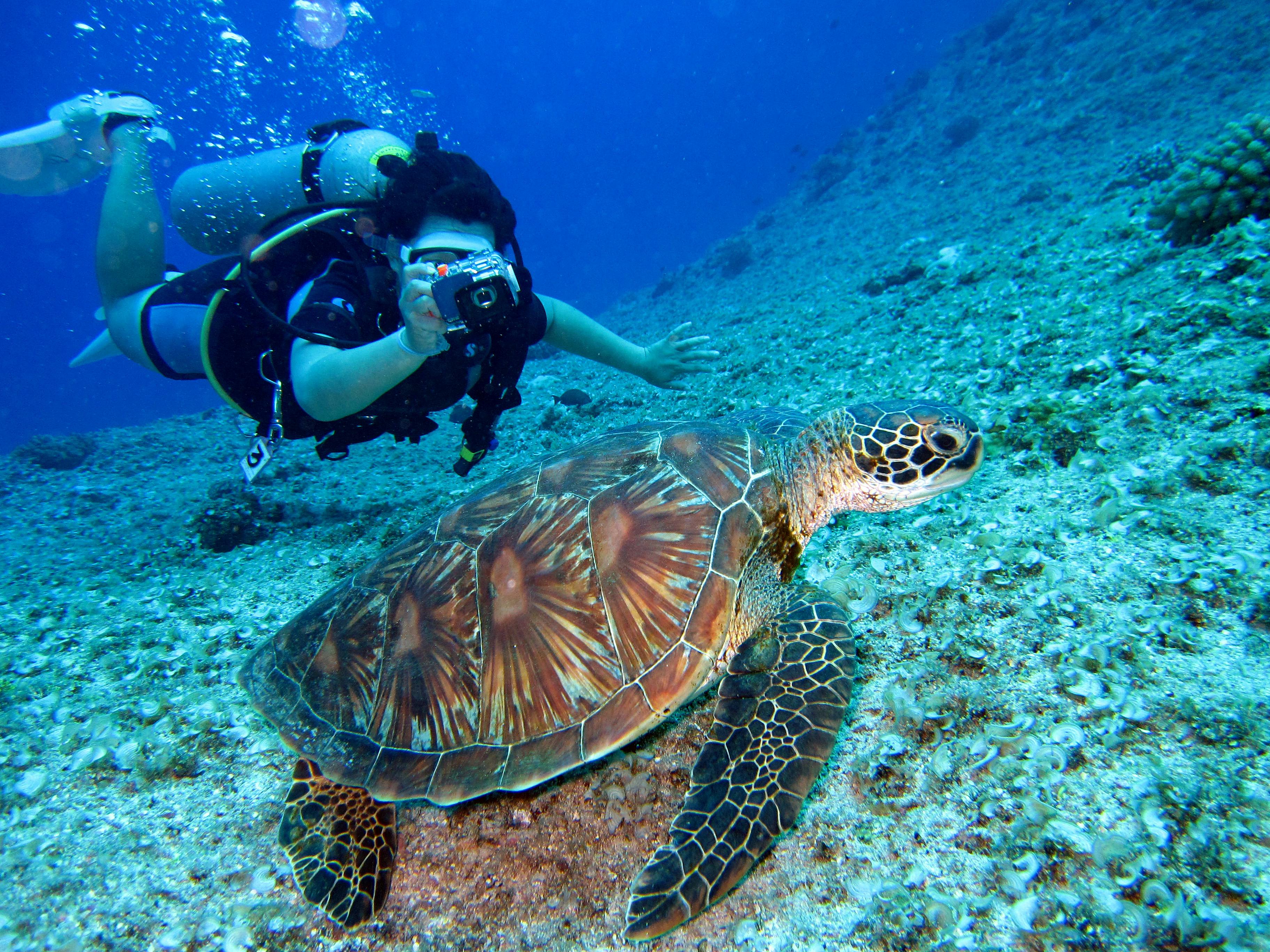 Pattaya Thái Lan hoạt động dưới nước